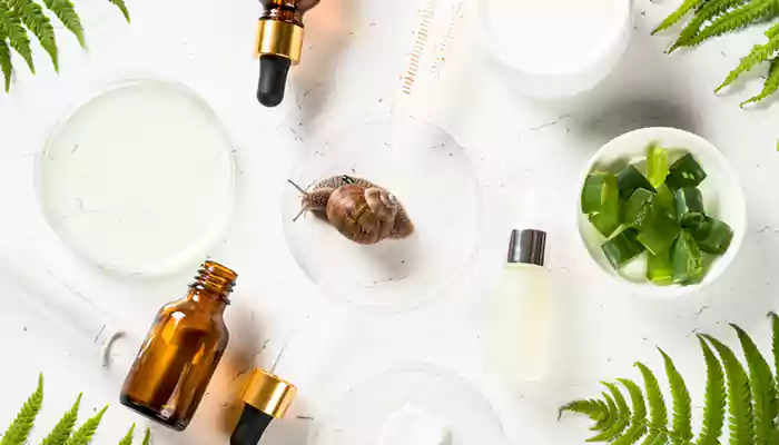 The Ultimate Guide To Using Snail Mucin Skincare Products: Explore The Benefits Of This Dermatologist-approved Ingredient